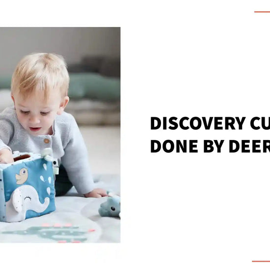 Discovery Cube - Done by Deer by@Outfy